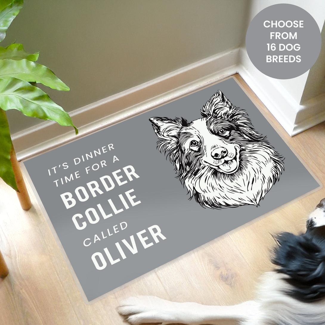 Pet Gifts