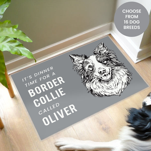 Pet Gifts