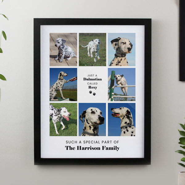 Framed Prints