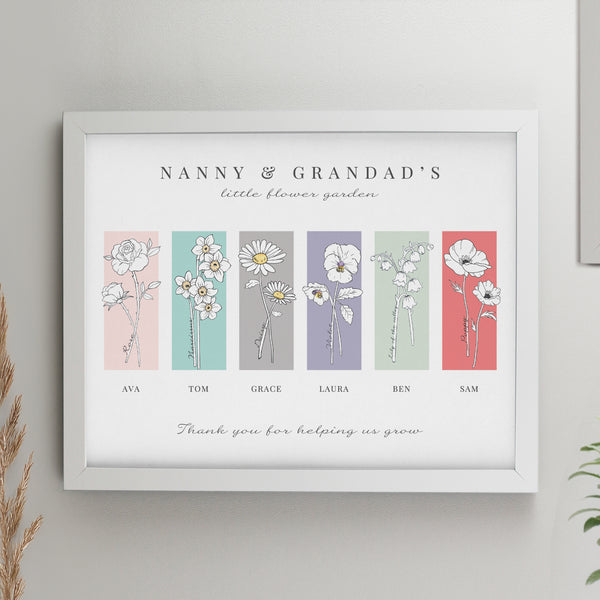 Framed Prints