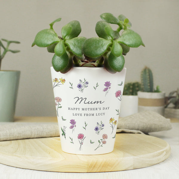 Vases