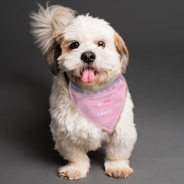 Pet Gifts