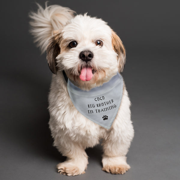 Pet Gifts