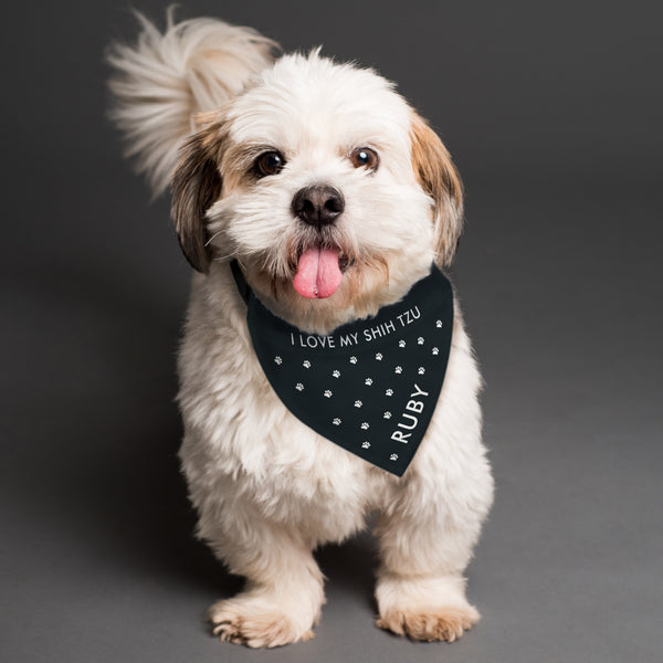 Pet Gifts