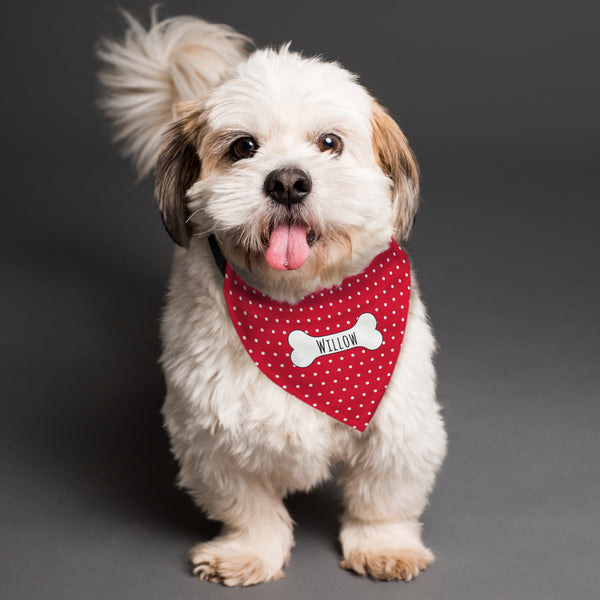 Pet Gifts