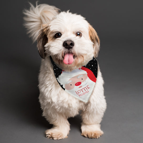 Pet Gifts