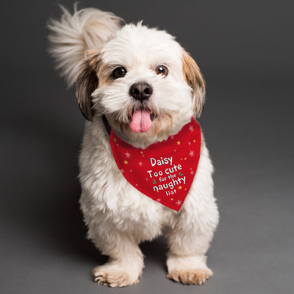 Pet Gifts