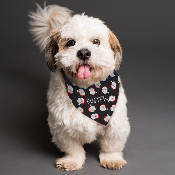 Pet Gifts