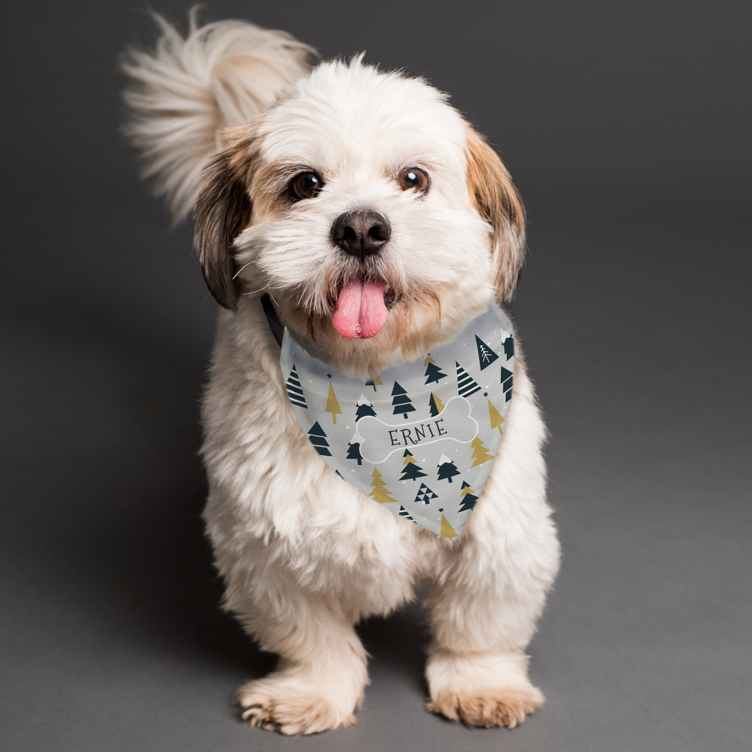 Pet Gifts