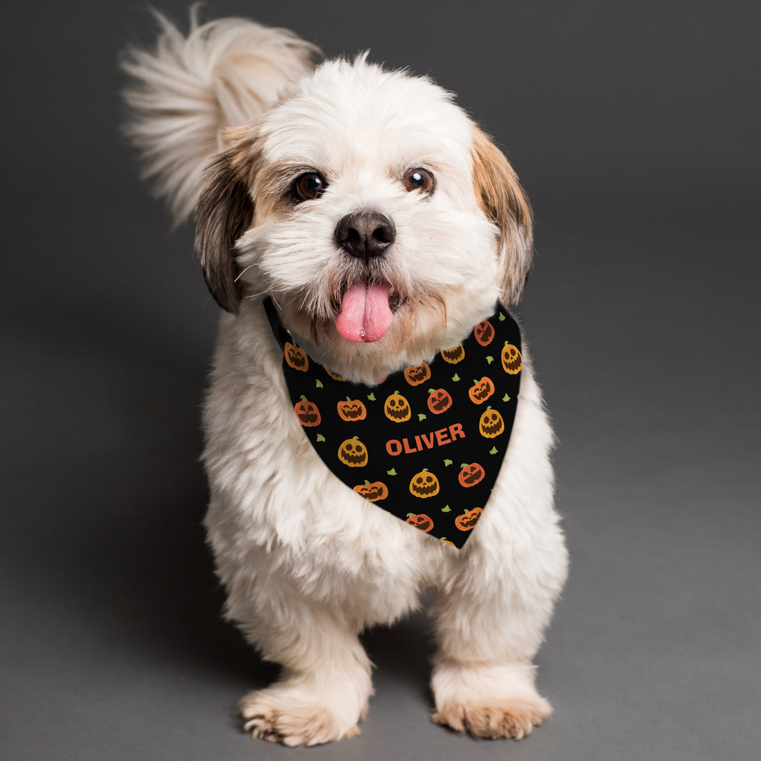Pet Gifts