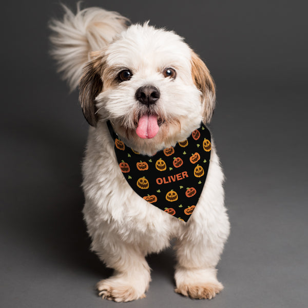 Pet Gifts