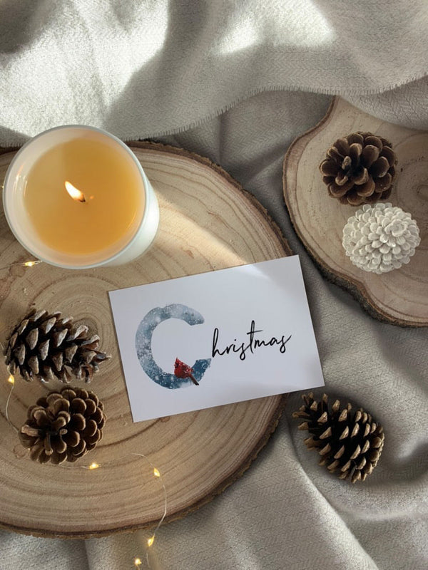 Christmas Red Bird Winter Christmas Seasonal Wall Home Decor Print