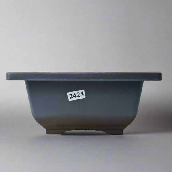 Plastic Bonsai Training Pot | Square | 17cm x 8cm
