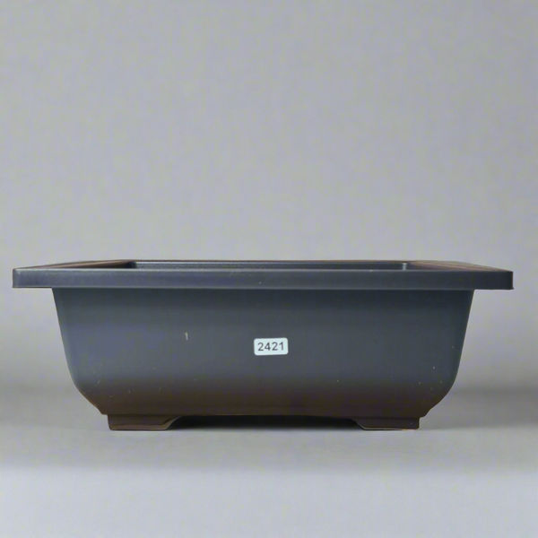 Plastic Bonsai Training Pot | Rectangle | 29cm x 21cm x 11cm