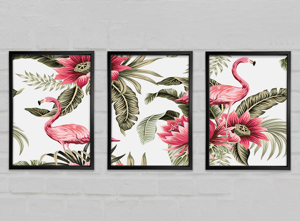 Flamingo-Blumen