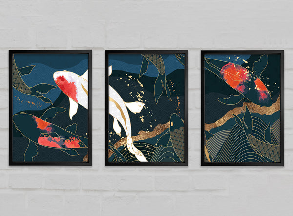 Koi Karpfen