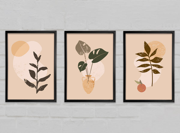 Trio Of Bohemian Plants Gallery Wall Art