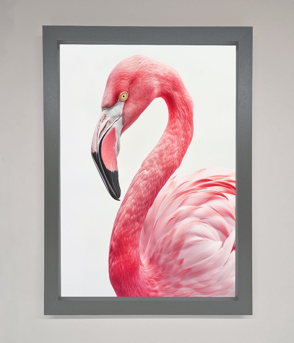 Pink Flamingo Stare Framed Print - Zestio