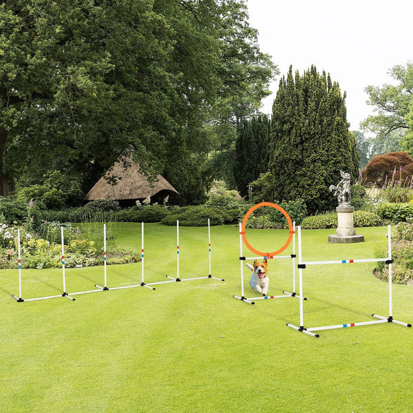 Agility Dog Obstacle Course With Carry Bag by Pawhut
