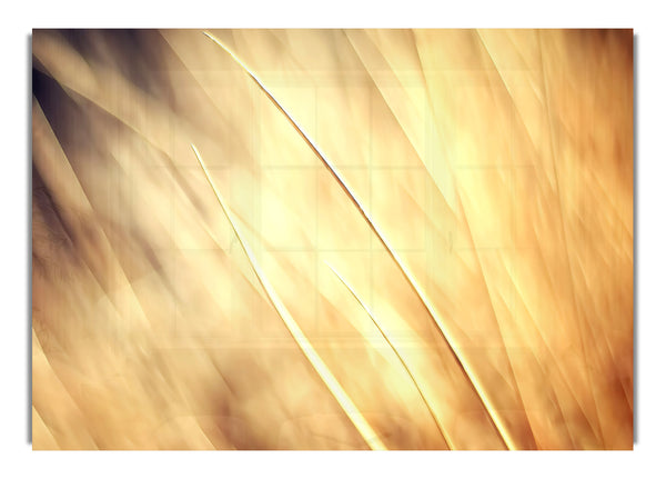 Herbstgras-Hintergrund