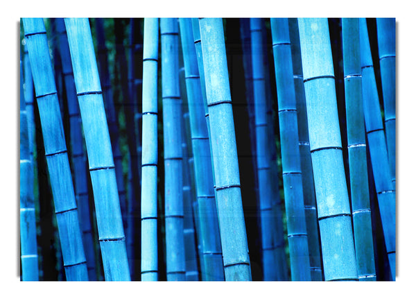 Blauer Wald