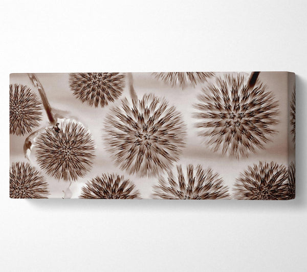 Dandelion Dream Chocolate