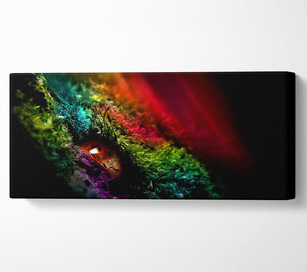 Eye Of The Rainbow
