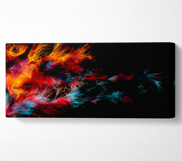 Feather Delight