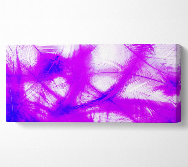 Feathers Pink