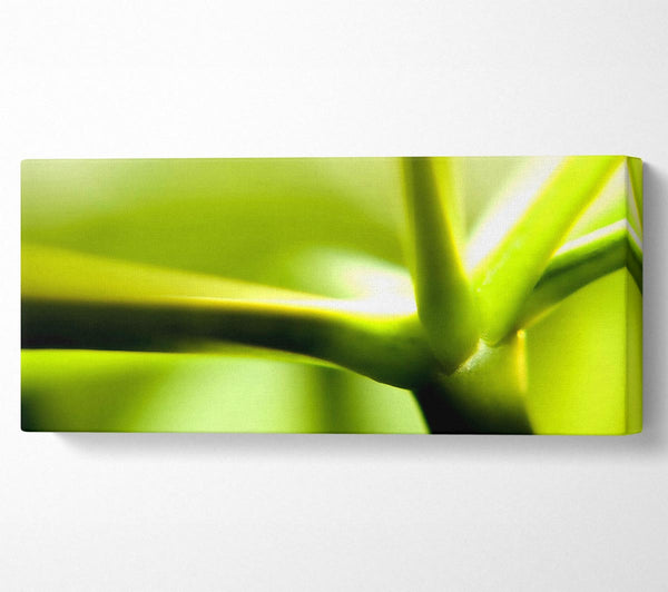 Green Stem