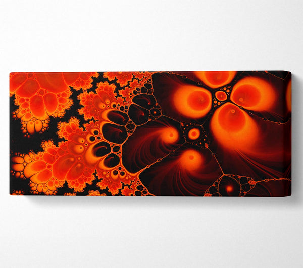 Hydrolysis Dream Red Orange