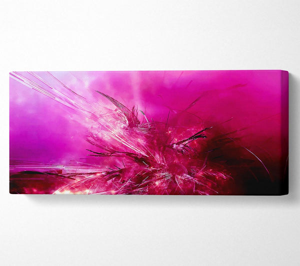 Pink Fury