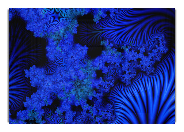 The Coral Blues
