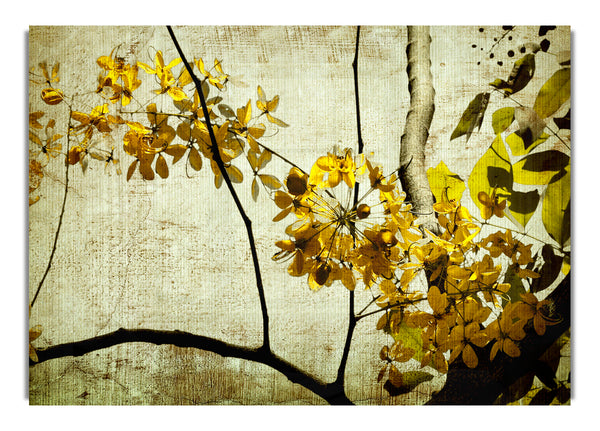 The Golden Winter Leaves