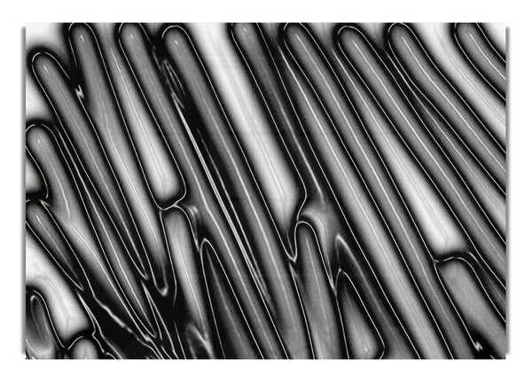 The Maze 1