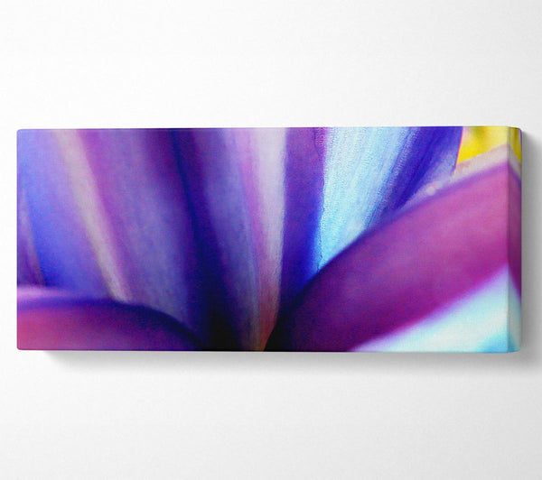 Violetter Traum