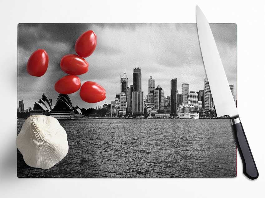 Australia Sydney River View B n W Glass Chopping Board