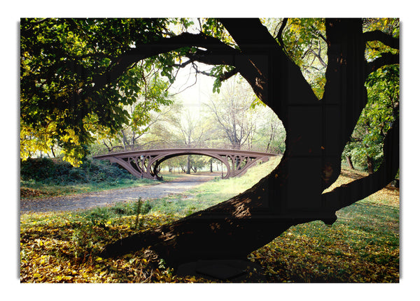 Central Park Bridge New York City
