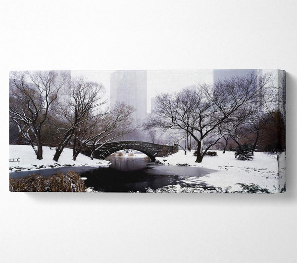 Central Park im Winter