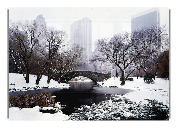 Central Park In Winter