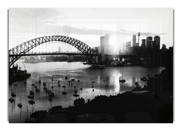 Sydney Harbour Sun Blaze B~w