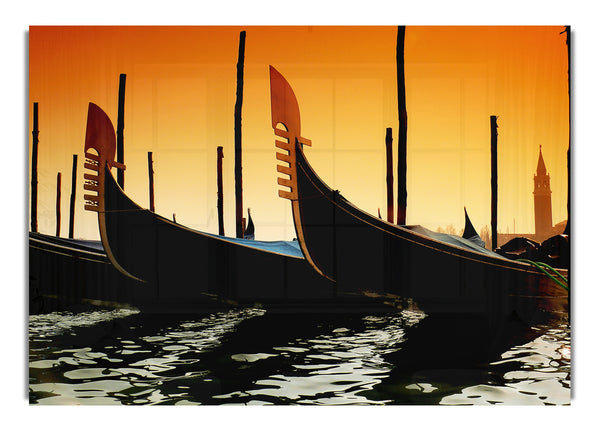 The Vikings Have Landed