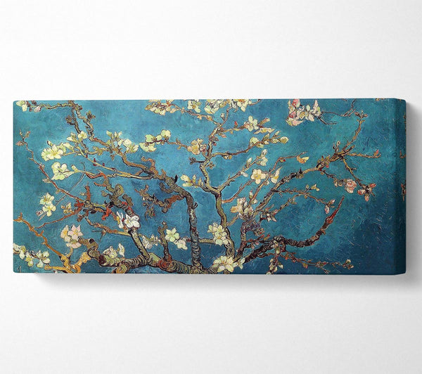Van Gogh Almond Branches