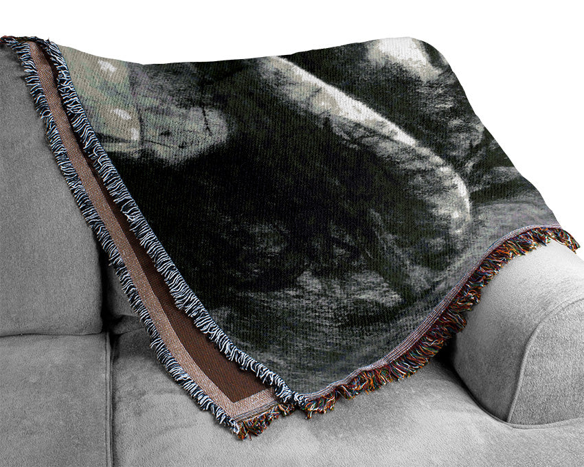 John Singer Sargent Baroness De Meyer Woven Blanket