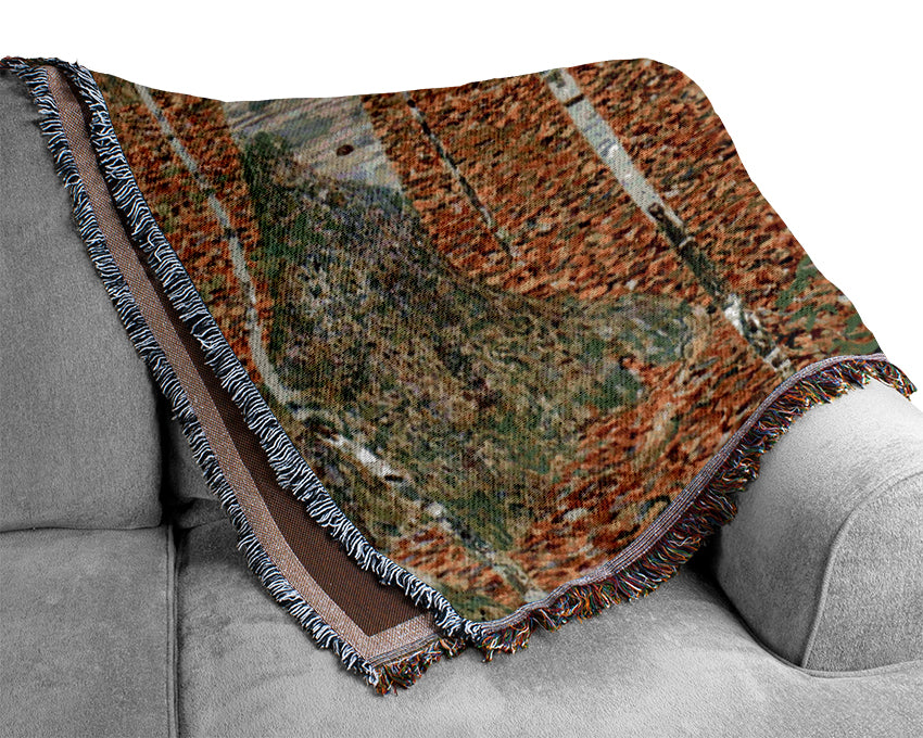 Klimt Birch Forest Woven Blanket