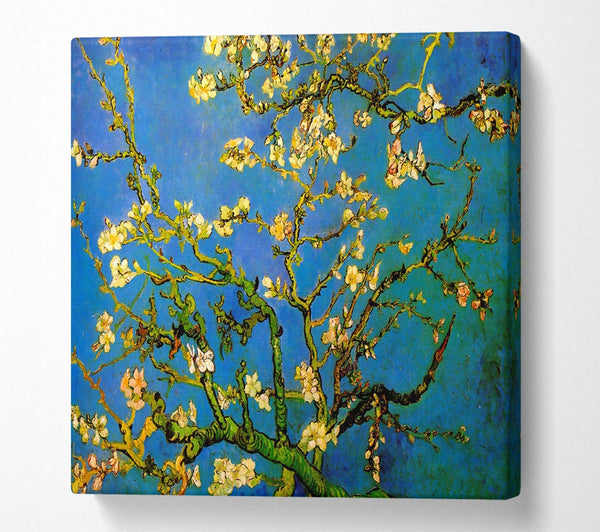 Picture of Van Gogh Blossoming Almond Tree Square Canvas Wall Art