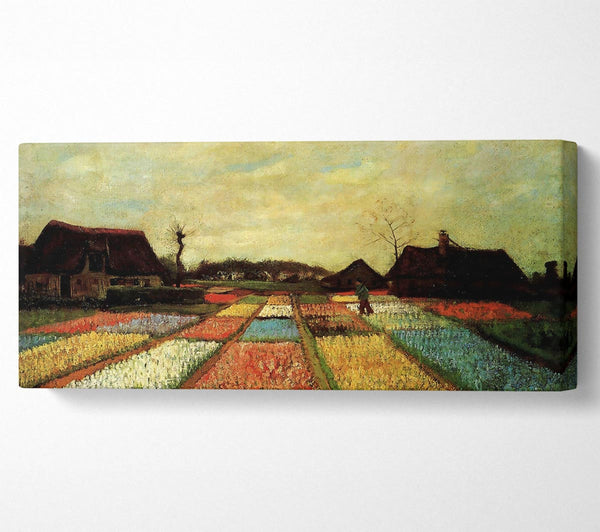 Van Gogh Bulb Fields