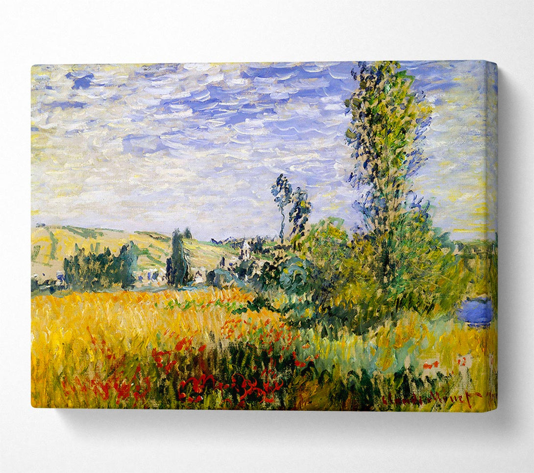 Picture of Claude Monet Fields Canvas Print Wall Art