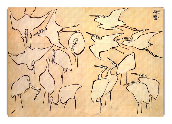 Kraniche von Hokusai