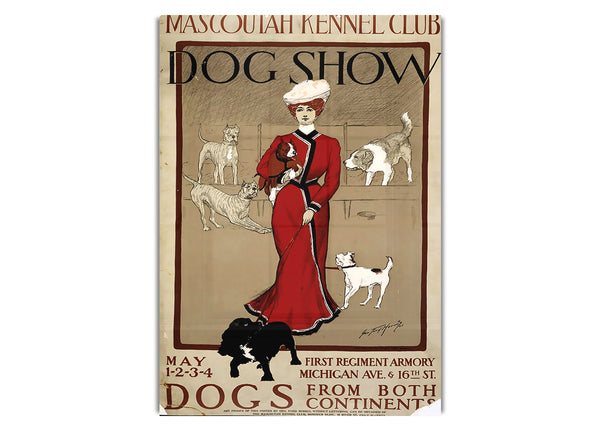 Hunde show
